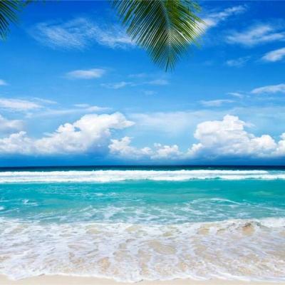 球探下载手机版