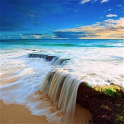 半岛手机网页版登录入口