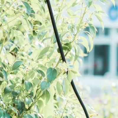 半岛手机网页版登录入口